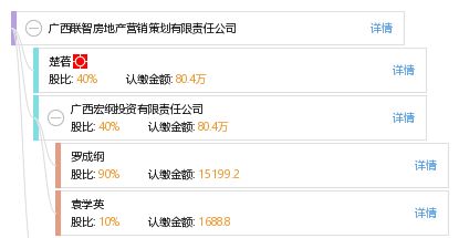 廣西聯智房地產營銷策劃有限責任公司 專業賦能，智領房地產營銷新篇章