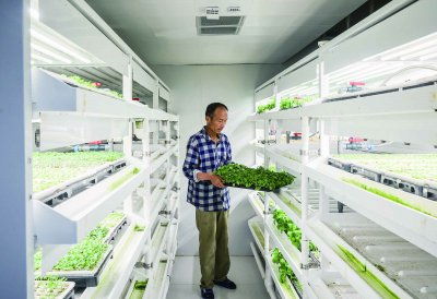 浦口節(jié)水型育苗技術(shù)實(shí)現(xiàn)突破，節(jié)水率達(dá)50%并啟動(dòng)全國推廣與技術(shù)轉(zhuǎn)讓